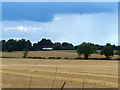 Farmland on the northern edge of Oadby