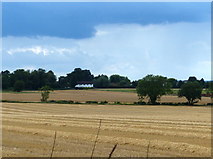 SK6301 : Farmland on the northern edge of Oadby by Mat Fascione