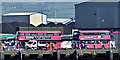 J3576 : Metro buses, Belfast harbour (July 2017) by Albert Bridge