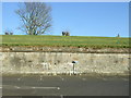 Car park and fortifications, Berwick