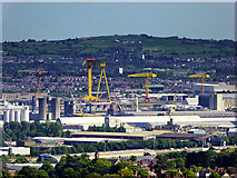 J3575 : Belfast Docks, a View from Cave Hill by David Dixon