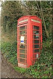 SY5196 : Telephone box, Powerstock by Derek Harper