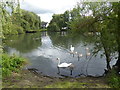 Pond on Platford Green