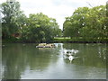 Pond on Platford Green