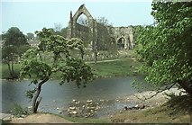 SE0754 : Bolton Abbey by Philip Halling