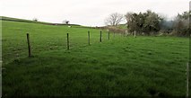 SY5198 : Fields at North Poorton by Derek Harper