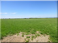 W9363 : Grass field near Churchtown South by Jonathan Thacker