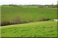 Strip lynchets, Mapperton