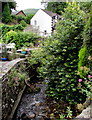 Cwm Shenkin Brook below Mill Lane, Govilon 