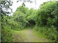 Footpath to Salmonhutch