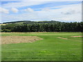 Elmwood Golf Course, 17th hole, Runway