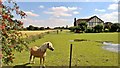 Standing guard by Marsh Road, Crowle