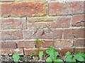 Ordnance Survey Cut Mark