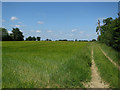 Field off Lingwood Road