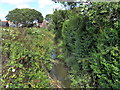 Drain near Elm Grove, Hampden Park