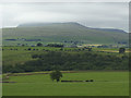 SD7474 : View of Ingleborough from Mewith Lane by Stephen Craven