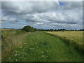 Field margin and drain near Cruxfield