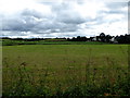 Dark skies, Killybrack