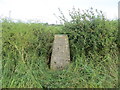 Carmelbank triangulation pillar, Crosshouse