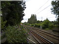 Railway line north of Bournville station