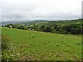 Grazing land at Hensleigh Farm