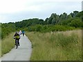 On the Nutbrook Trail