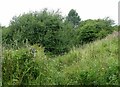 Railway remains near Ilkeston