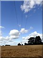 SK7486 : Power lines over a field of barley by Graham Hogg