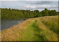 Path by the River Beauly, Kilmorack