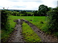 Muddy entrance to field, Findrum