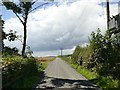 The road to Saundby Park Farm