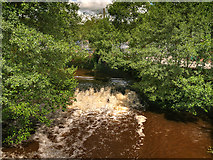 SK0247 : River Churnet, Weir at Froghall by David Dixon
