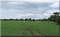 TM3589 : Pasture near Watch House Hill, Mettingham by Roger Jones
