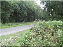 SU4269 : Unnamed Road in Wickham Heath by David Howard