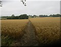SP6534 : Footpath to Shalstone by Jonathan Thacker