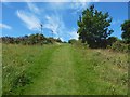 Path to Whinhill Reservoir