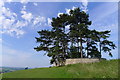 The viewpoint on Wotton Hill