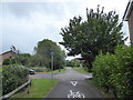 Cycle path along River Walk