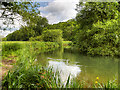 SU4620 : River Itchen near Bishopstoke Park by David Dixon