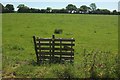 ST4807 : Pallet gate near Wood Dairy Farm by Derek Harper