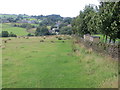 Wallside field footpath from Shaw to Mould Greave