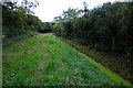 Featherbed Lane off Wood Lane