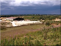 TG2404 : The chalk quarry at Caistor St Edmund by Evelyn Simak