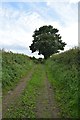 Footpath east of Southfield Farm