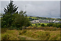 Princetown : Grassy Path