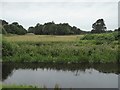 Across White Cart Water to Pollok Golf Club