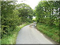 Higher Road near Long Gill, Wigglesworth