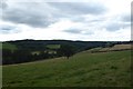 SE7465 : Fields near Badger Wood by DS Pugh