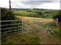 Field gates, Church Hill, English Bicknor