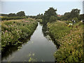 River Douglas at Martland Mill